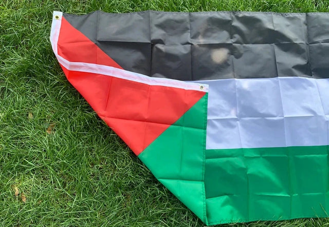 Large Palestine Flag
