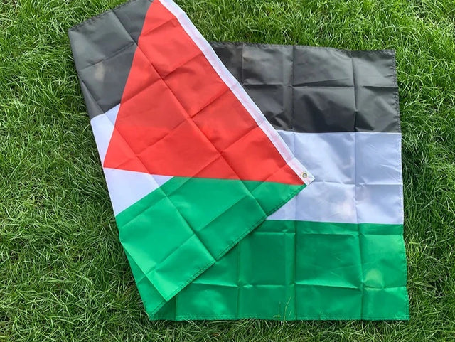 Large Palestine Flag
