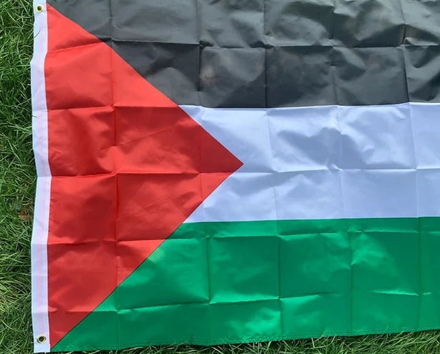 Large Palestine Flag